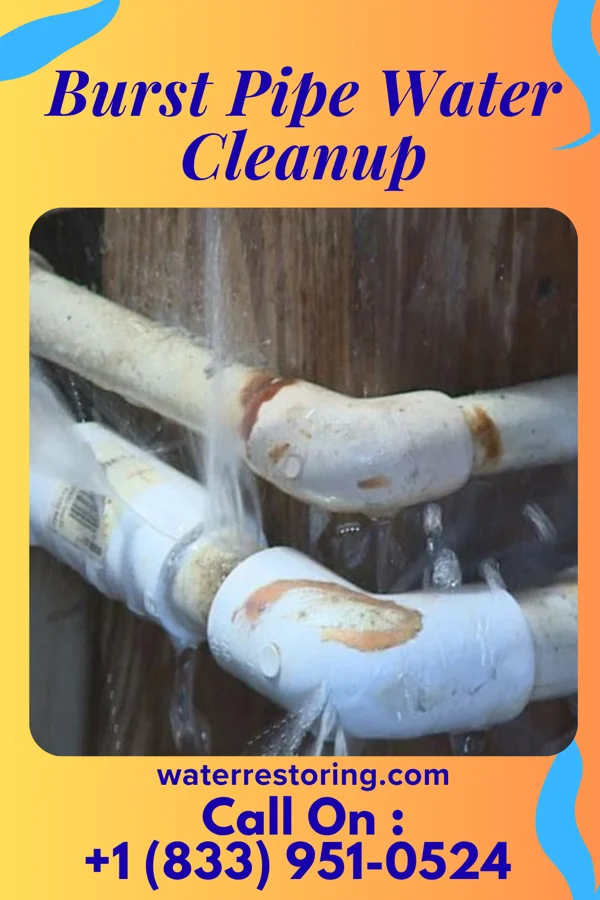 Burst Pipe Water Cleanup in Fox Crossing, WI