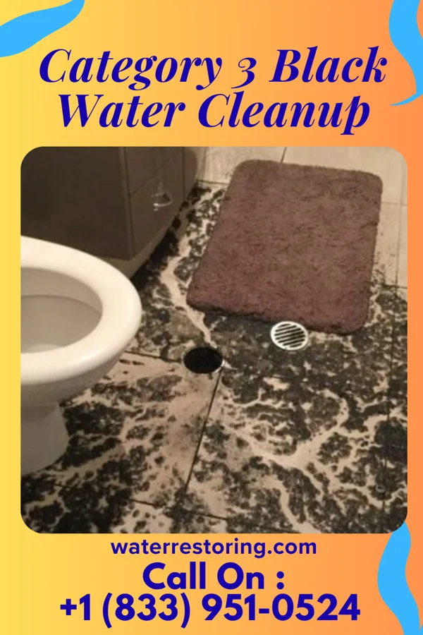 Category 3 Black Water Cleanup in Fox Crossing, WI
