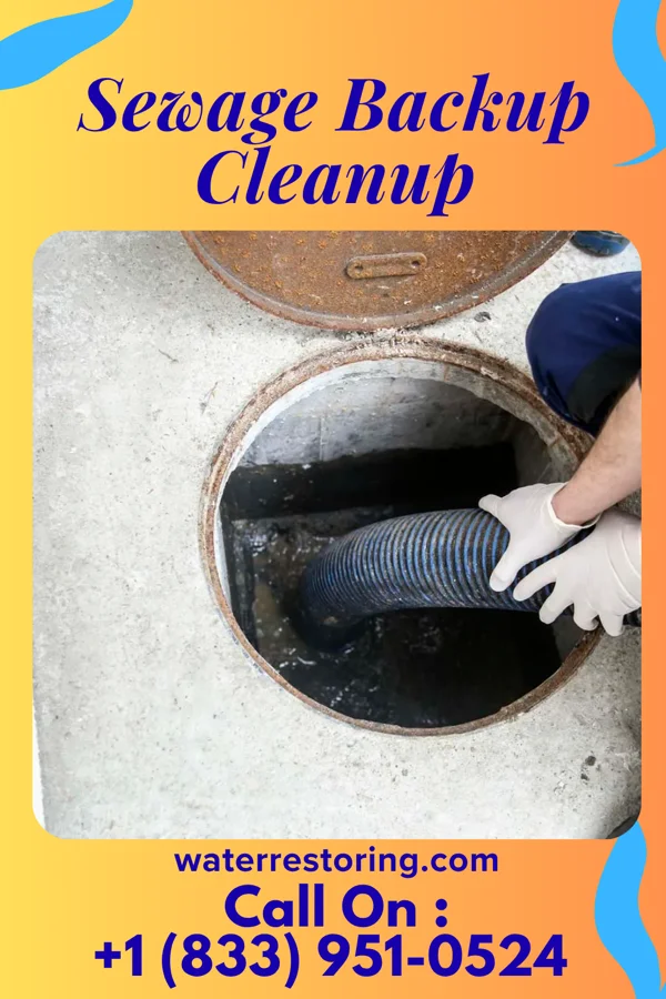 Sewage Backup Cleanup in Fox Crossing, WI