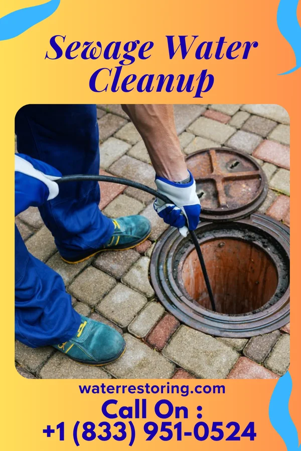 Sewage Water Cleanup in Fox Crossing, WI