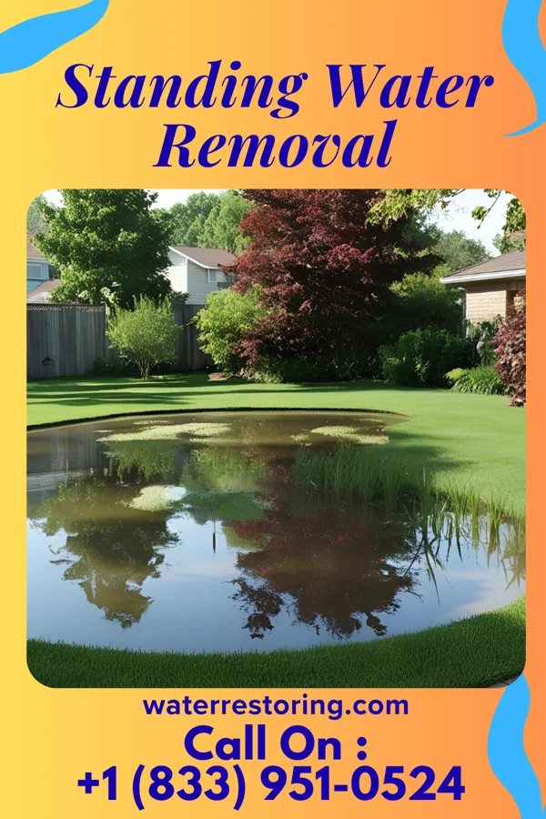 Standing Water Removal in Fox Crossing, WI